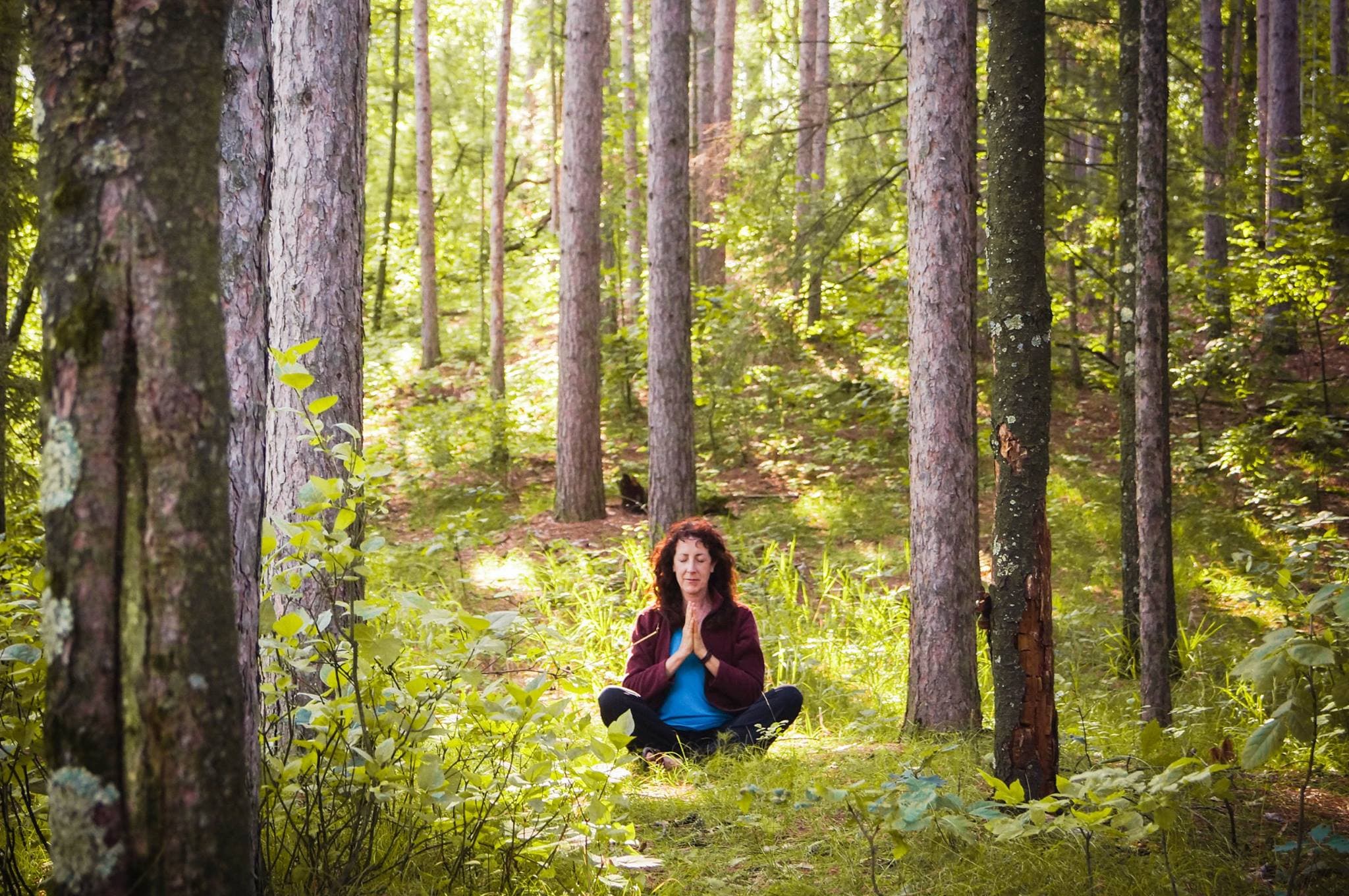 Tajali meditating in a sunlit forest