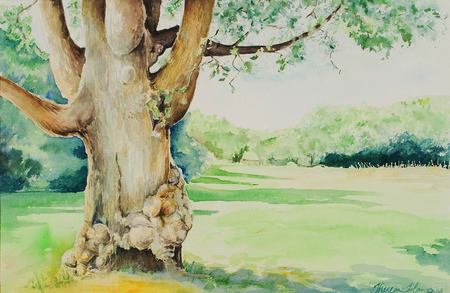 Watercolor by Tajali Tolan