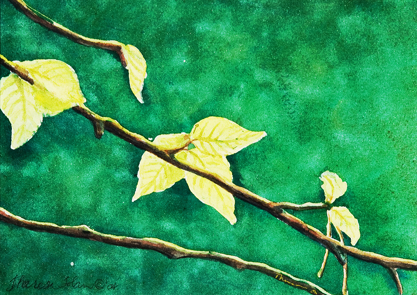 Watercolor by Tajali Tolan